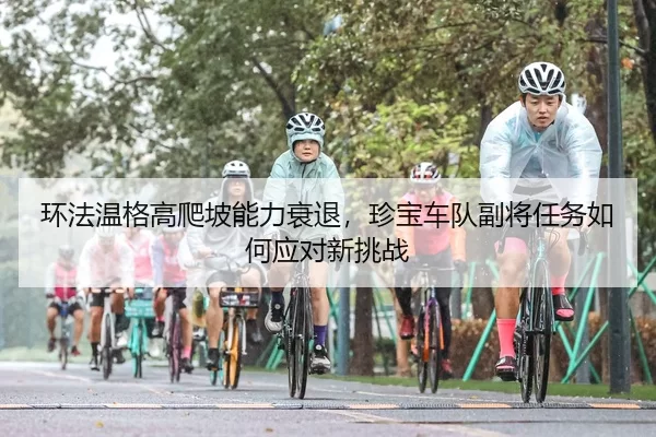 huan-fa-wen-ge-gao-pa-po-neng-li-shuai-tui-zhen-bao-che-dui-fu-jiang-ren-wu-ru-he-ying-dui-xin-tiao-zhan-2-274.jpg