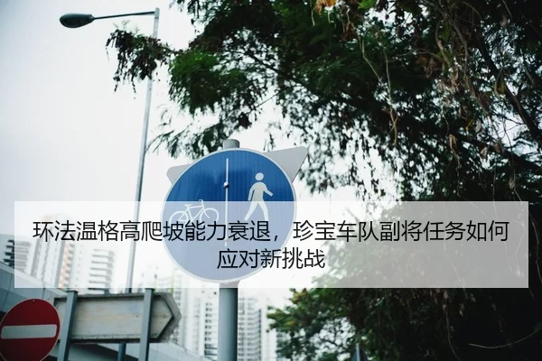 环法温格高爬坡能力衰退，珍宝车队副将任务如何应对新挑战