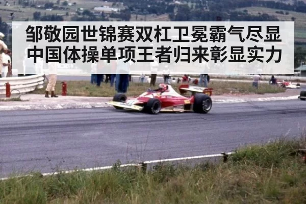 邹敬园世锦赛双杠卫冕霸气尽显 中国体操单项王者归来彰显实力